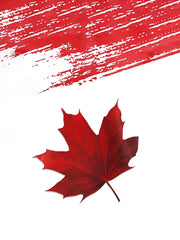 Men's Canadian Maple Leaf Print Casual Top